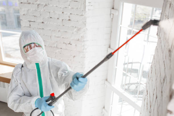 Best Mold Removal for HVAC Installations  in Caoncito, NM