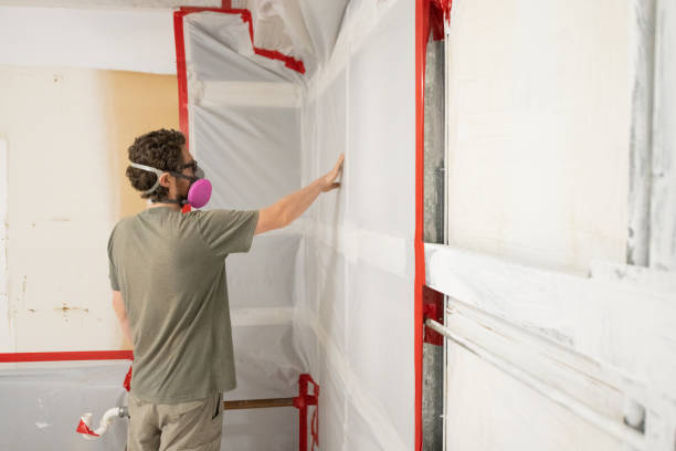Best Mold-Related Health Consultation  in Caoncito, NM