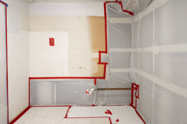 Best Basement Mold Removal  in Caoncito, NM