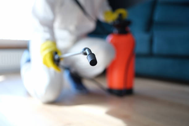 Best Mold Removal for HVAC Installations  in Caoncito, NM