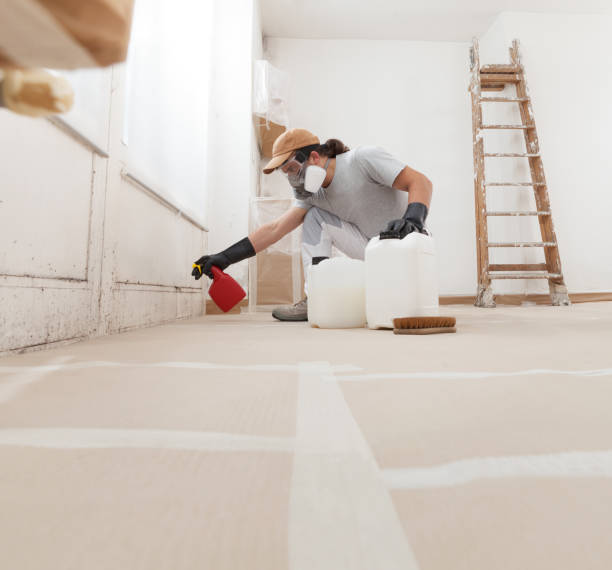 Trusted Caoncito, NM Mold Removal Experts
