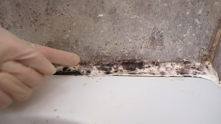 Best Dehumidification Services  in Caoncito, NM